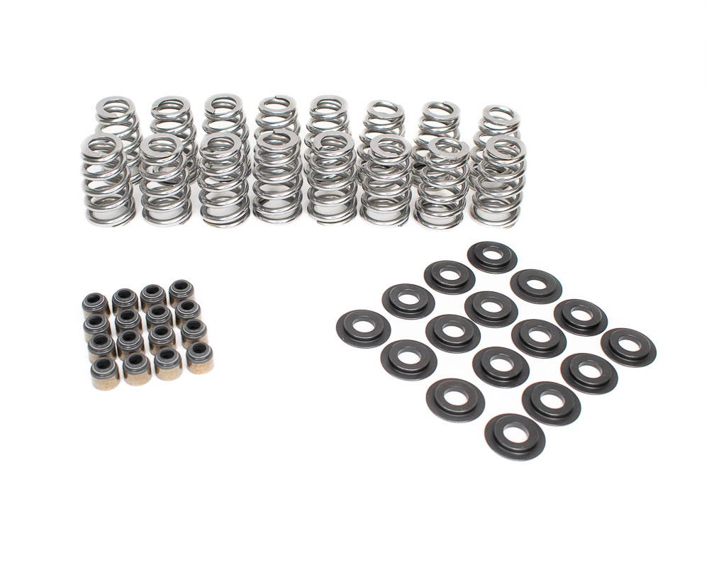 BTR .625" LIFT BEEHIVE VALVE SPRING KIT - BTR - SK018 - Richard Holdener Performance